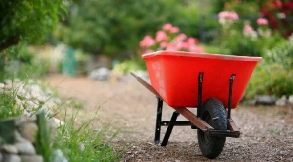 Curatenia de primavara pe strada ta (Sambata 1 Aprilie incepand cu ora 15.30)